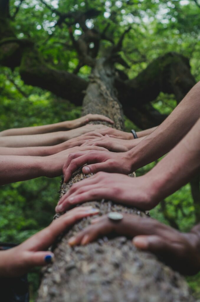 Hands on tree